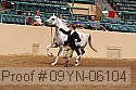 09yn-06104 proof