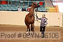 09yn-06106 proof