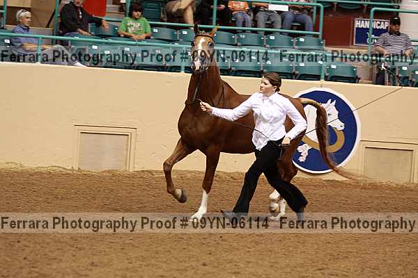Proof 09yn-06114