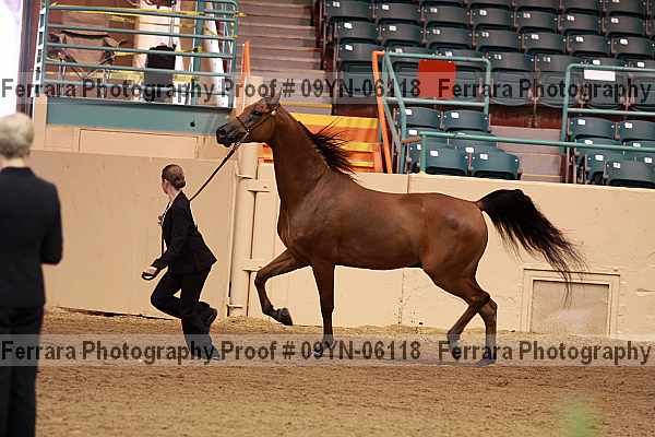 Proof 09yn-06118