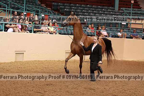 Proof 09yn-06119