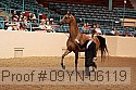 09yn-06119 proof