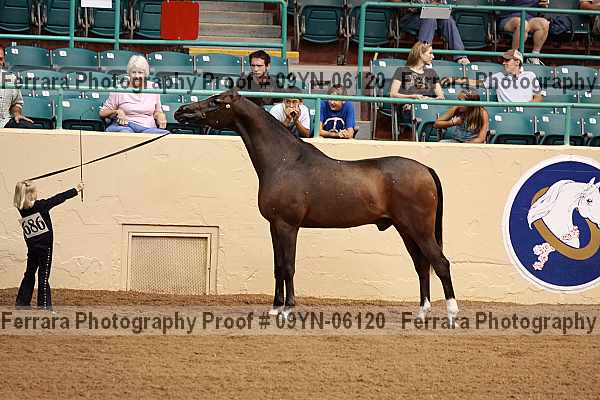 Proof 09yn-06120