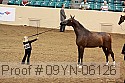 09yn-06126 proof
