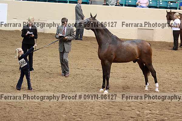 Proof 09yn-06127