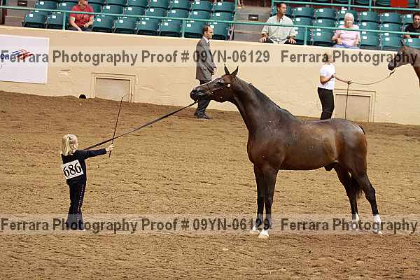 Proof 09yn-06129