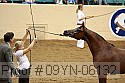 09yn-06132 proof