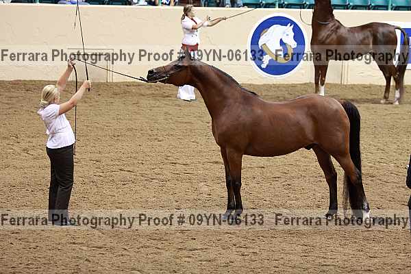 Proof 09yn-06133