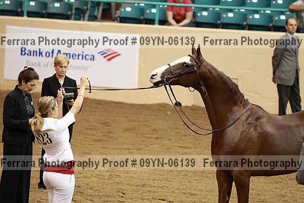 Proof 09yn-06139