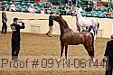 09yn-06144 proof