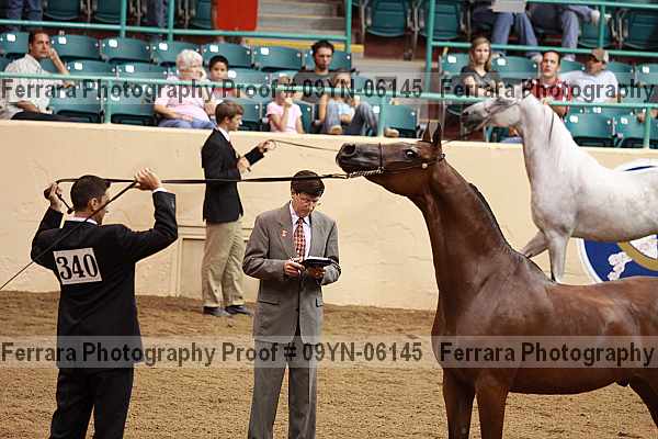 Proof 09yn-06145