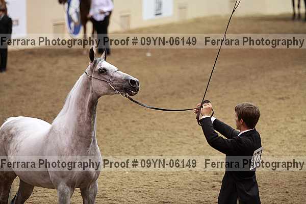 Proof 09yn-06149