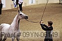 09yn-06149 proof