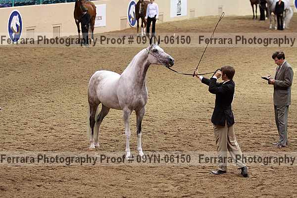 Proof 09yn-06150
