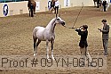 09yn-06150 proof