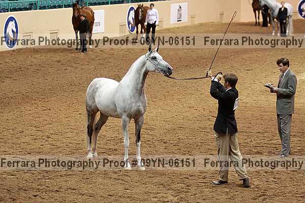 Proof 09yn-06151
