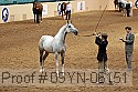 09yn-06151 proof