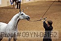 09yn-06152 proof