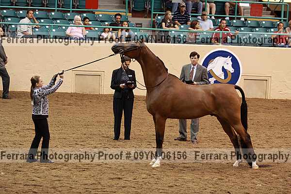 Proof 09yn-06156
