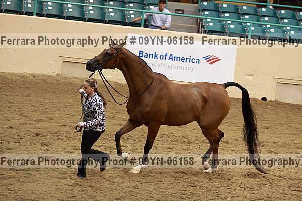 Proof 09yn-06158