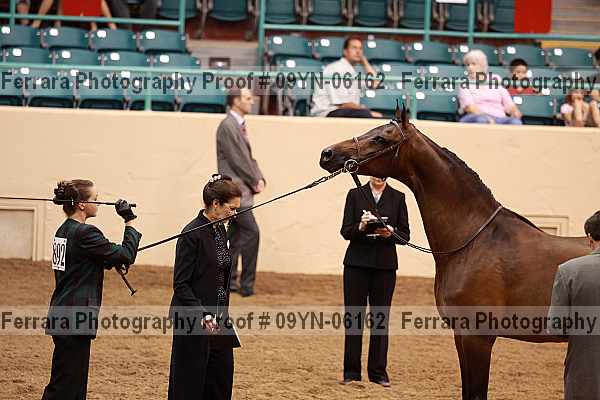 Proof 09yn-06162
