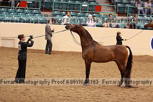 Proof 09yn-06163