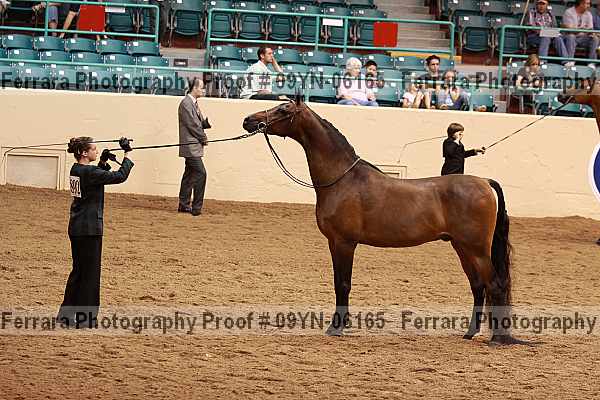 Proof 09yn-06165