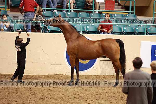 Proof 09yn-06166