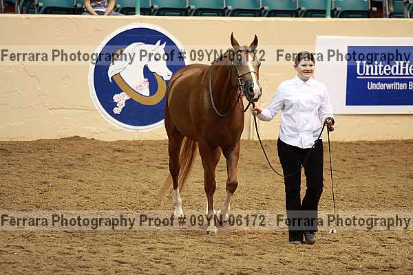Proof 09yn-06172