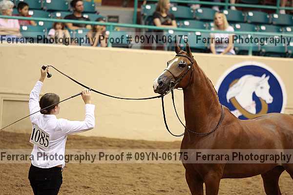 Proof 09yn-06175