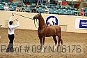 09yn-06176 proof