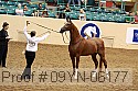 09yn-06177 proof