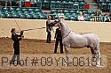 09yn-06181 proof