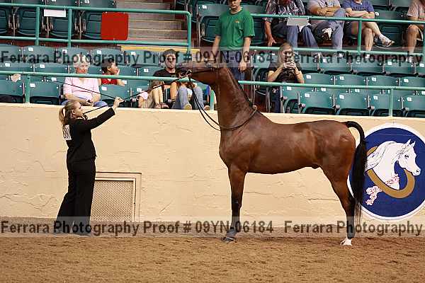 Proof 09yn-06184