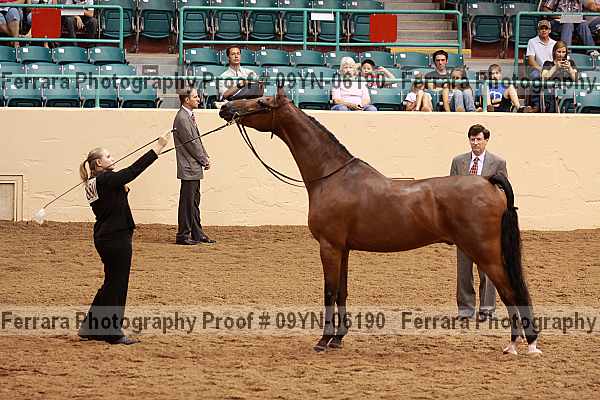 Proof 09yn-06190