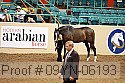 09yn-06193 proof