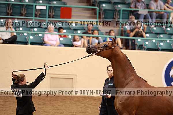 Proof 09yn-06197