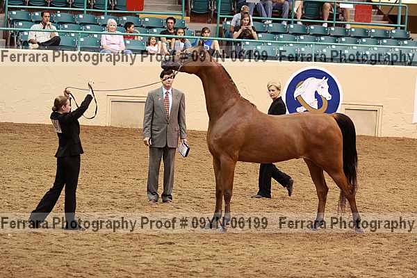 Proof 09yn-06199