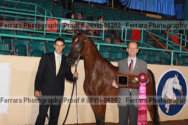 Proof 09yn-06202