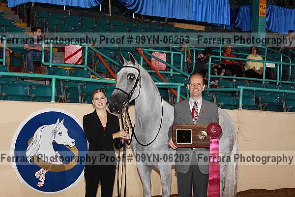 Proof 09yn-06203