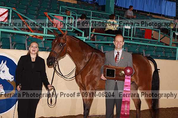 Proof 09yn-06204