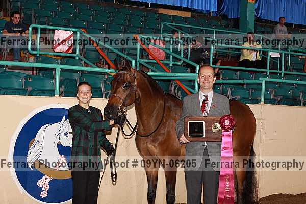 Proof 09yn-06205