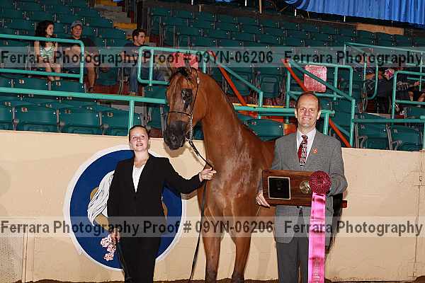 Proof 09yn-06206