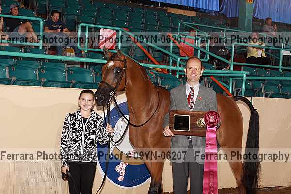 Proof 09yn-06207
