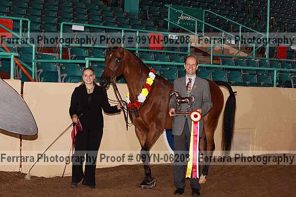Proof 09yn-06208