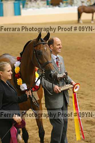 Proof 09yn-06211