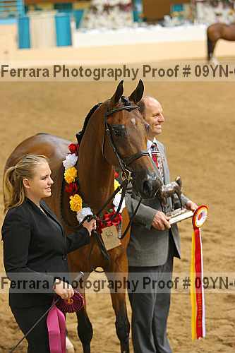 Proof 09yn-06212