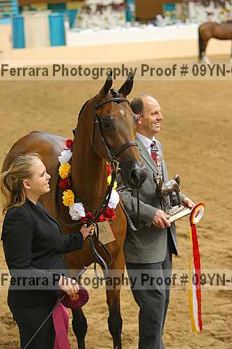 Proof 09yn-06213