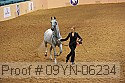 09yn-06234 proof