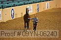 09yn-06240 proof